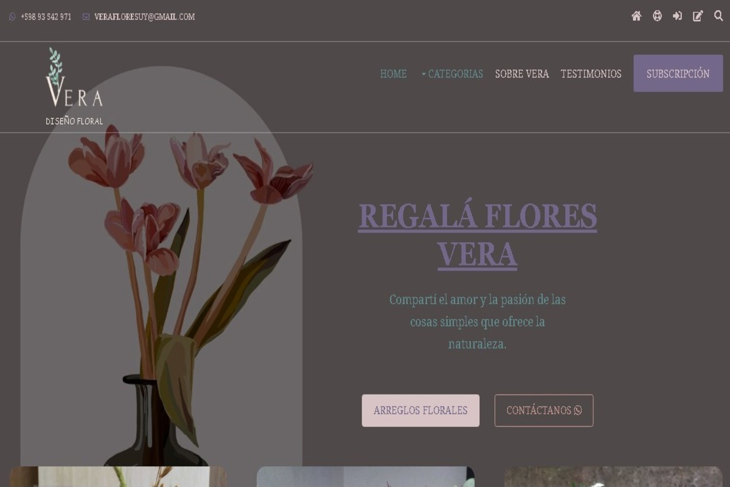 Imagen del desarrollo web tufrutiya